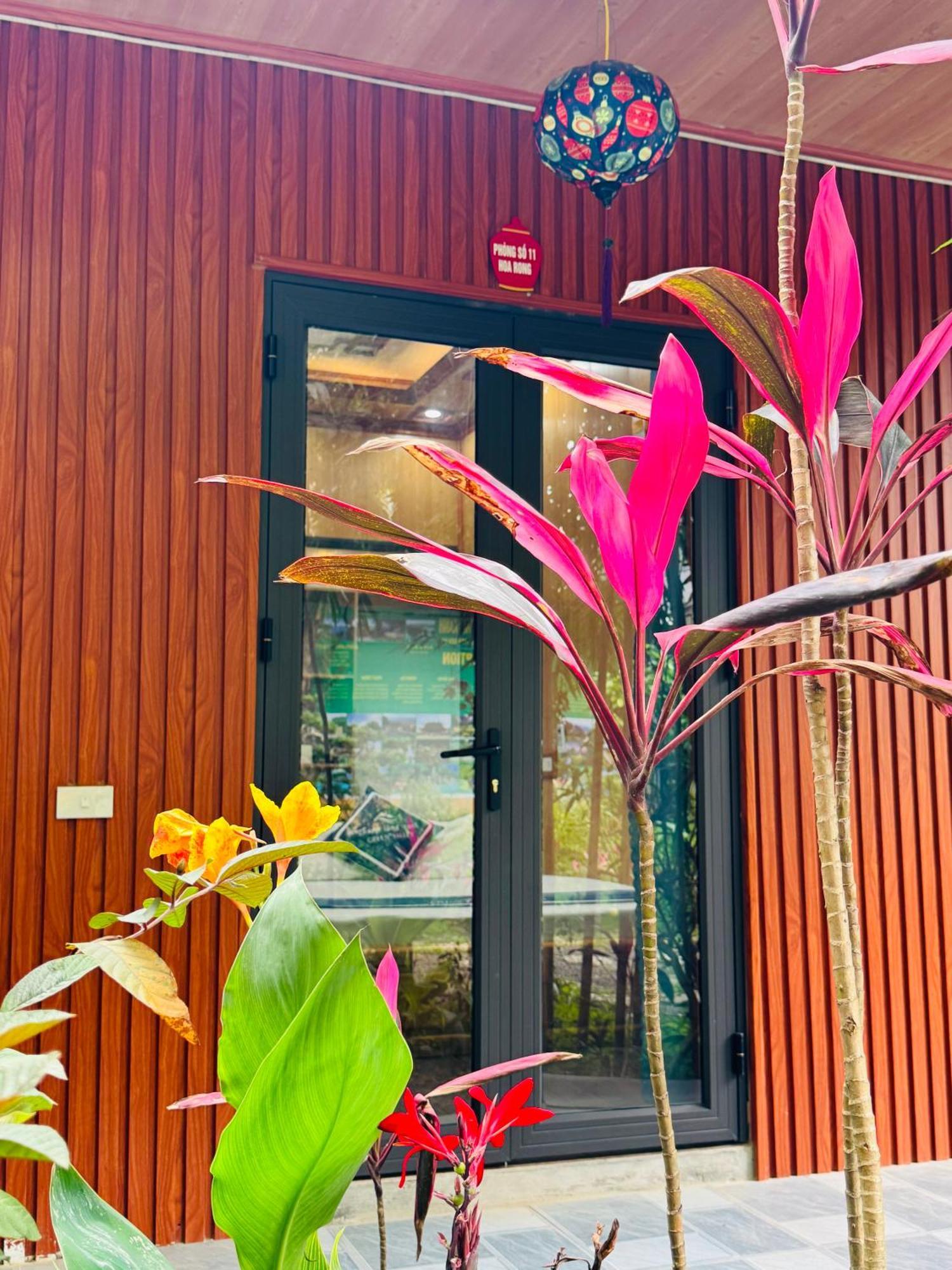 Green Valley Homestay - Thung Lung Xanh Nguyen Ngoai Exterior foto